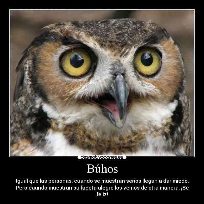 Carteles de Buhos Pag. 5 | Desmotivaciones