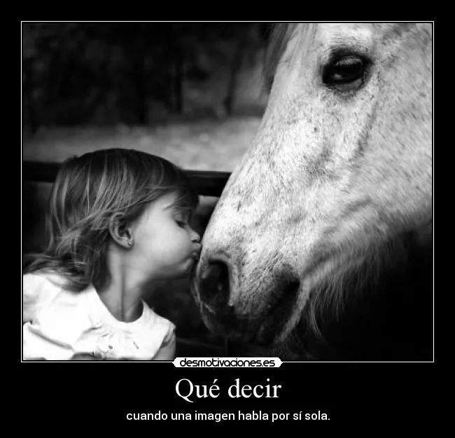 Carteles de Caballo Pag. 5 | Desmotivaciones Carteles de Caballo Pag. 5 | Desmotivaciones