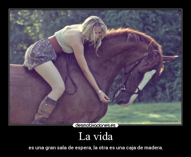 Carteles de Caballos Pag. 9 | Desmotivaciones