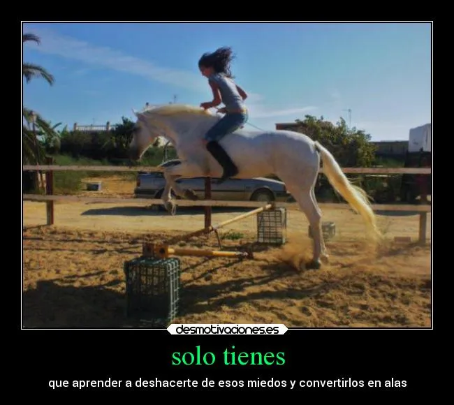 Carteles de Caballos Pag. 2 | Desmotivaciones Carteles de Caballos Pag. 2 | Desmotivaciones