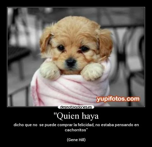 Quien haya | Desmotivaciones