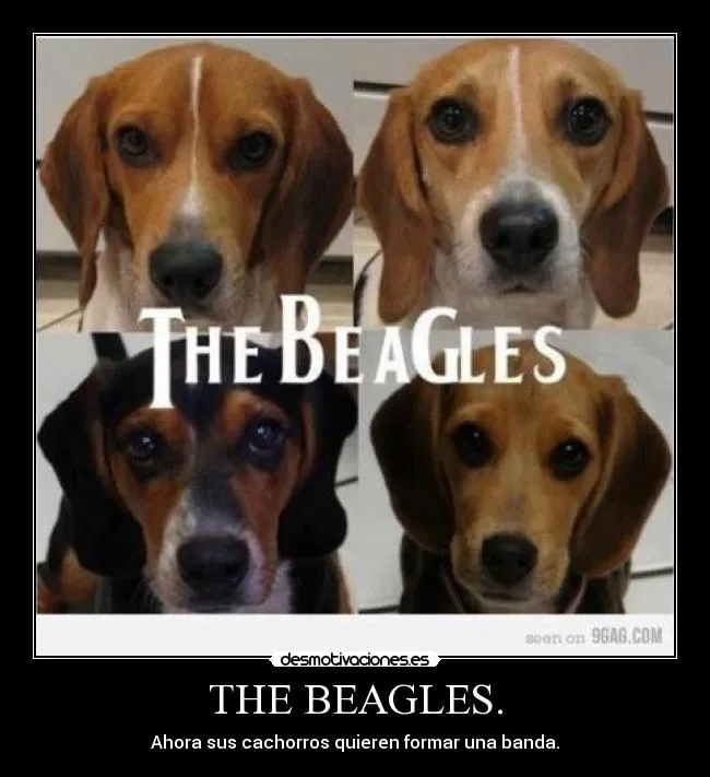 Carteles de Cachorros Pag. 7 | Desmotivaciones Carteles de Cachorros Pag. 7 | Desmotivaciones