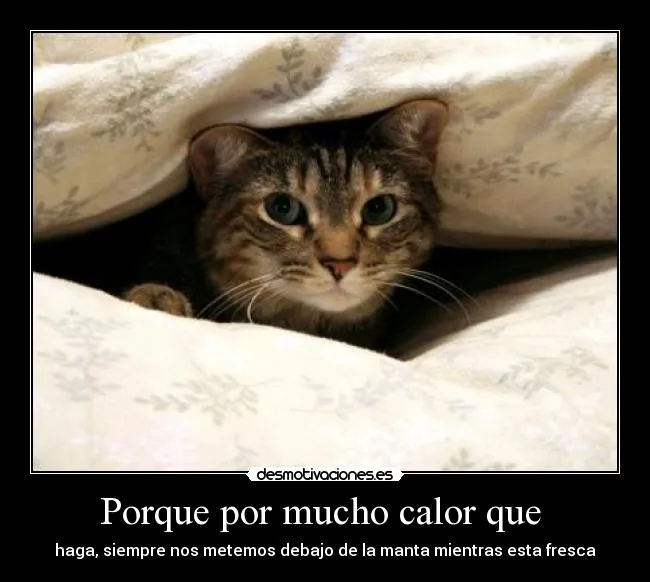 Carteles de Calor Pag. 13 | Desmotivaciones Carteles de Calor Pag. 13 | Desmotivaciones