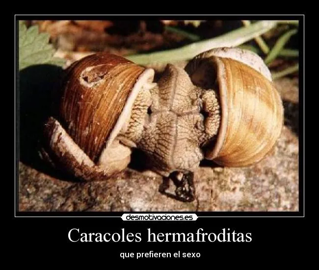Carteles de Caracoles Pag. 13 | Desmotivaciones Carteles de Caracoles Pag. 13 | Desmotivaciones
