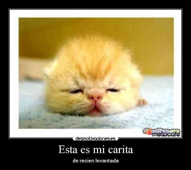 Carteles de Carita Pag. 49 | Desmotivaciones Carteles de Carita Pag. 49 | Desmotivaciones
