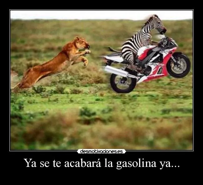 Carteles de Cebra Pag. 18 | Desmotivaciones