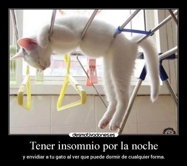 Carteles de Celos Pag. 17 | Desmotivaciones Carteles de Celos Pag. 17 | Desmotivaciones