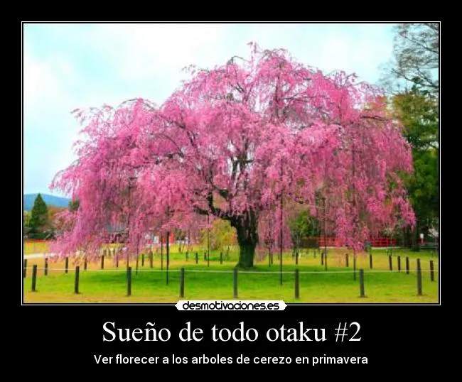 Carteles de Cerezo | Desmotivaciones