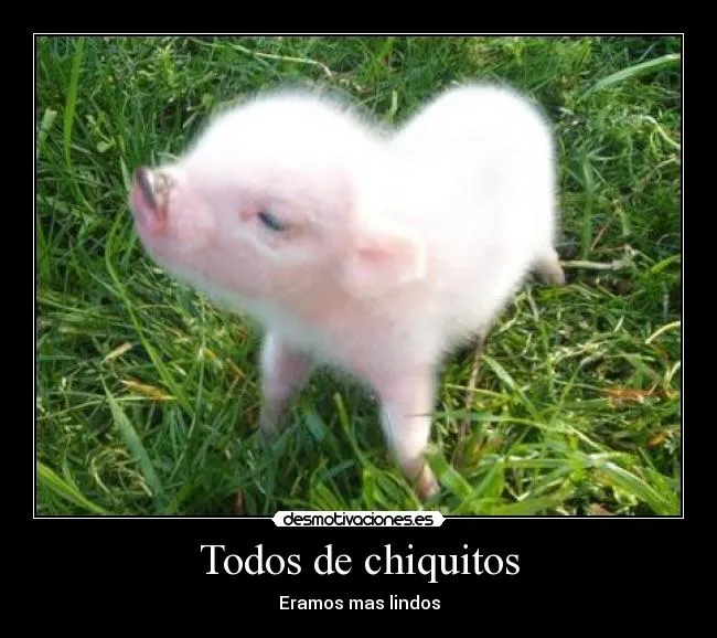 Carteles de Chanchito | Desmotivaciones