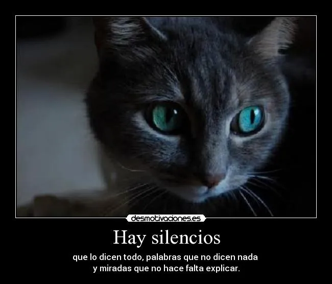 Carteles de Cheshire | Desmotivaciones