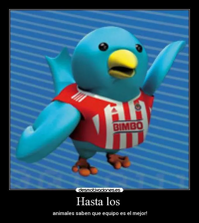 Carteles de Chivas Pag. 8 | Desmotivaciones Carteles de Chivas Pag. 8 | Desmotivaciones
