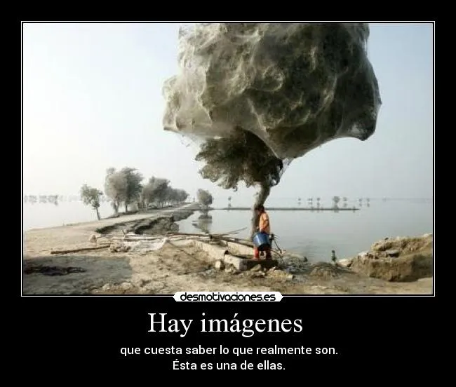 Carteles de Confusas Pag. 2 | Desmotivaciones Carteles de Confusas Pag. 2 | Desmotivaciones