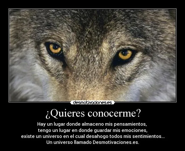 Carteles de Conocerme Pag. 5 | Desmotivaciones