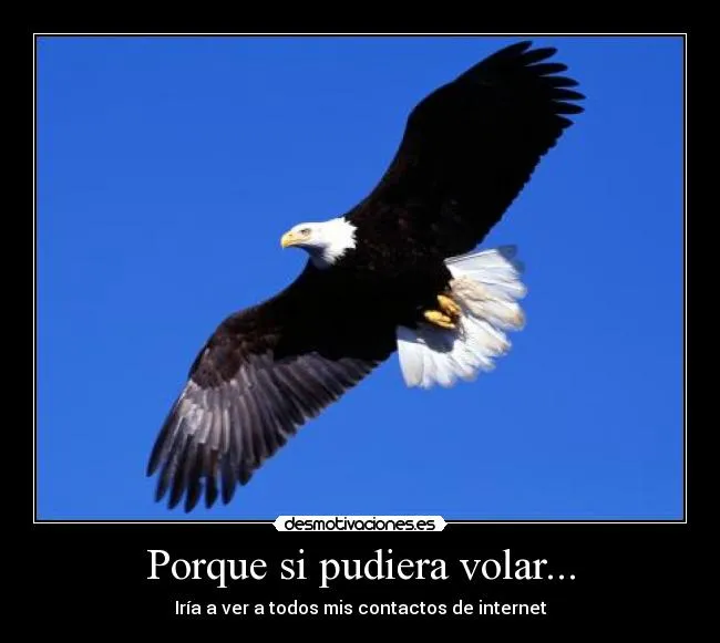 Carteles de Contactos Pag. 2 | Desmotivaciones