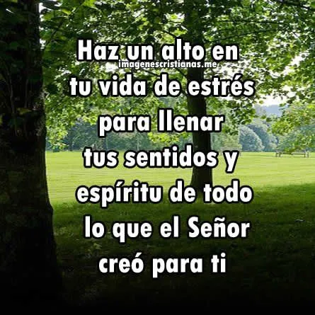 Carteles Cristianos Con Mensajes Bonitos - Imagenes Cristianas ... Carteles Cristianos Con Mensajes Bonitos - Imagenes Cristianas ...