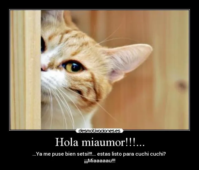 Carteles de Cuchi Pag. 5 | Desmotivaciones