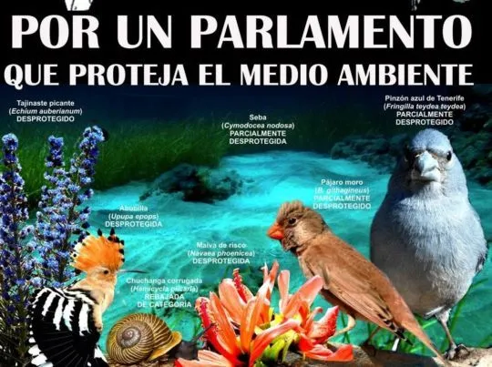 Cadena humana para salvar animales y plantas en Canarias | La ... Cadena humana para salvar animales y plantas en Canarias | La ...