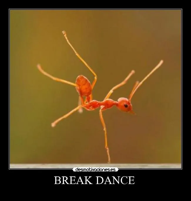 Carteles de Dance Pag. 2 | Desmotivaciones