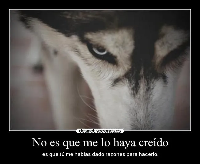 Carteles de Decepcion Pag. 4 | Desmotivaciones