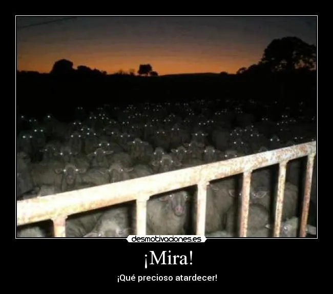 Carteles de Demoniacas | Desmotivaciones