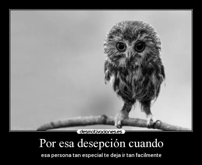 Carteles de Desepcion Pag. 8 | Desmotivaciones Carteles de Desepcion Pag. 8 | Desmotivaciones