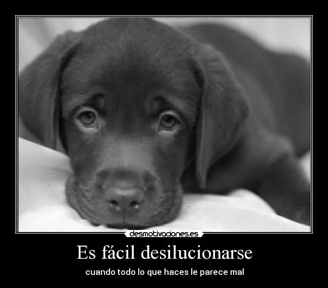 Carteles de Desilucion Pag. 41 | Desmotivaciones Carteles de Desilucion Pag. 41 | Desmotivaciones