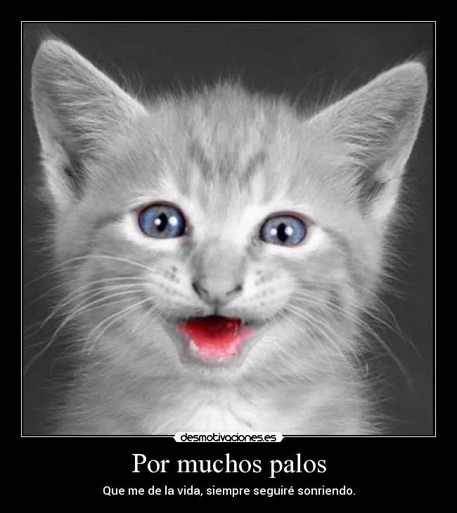 Carteles de Desilusiones | Desmotivaciones