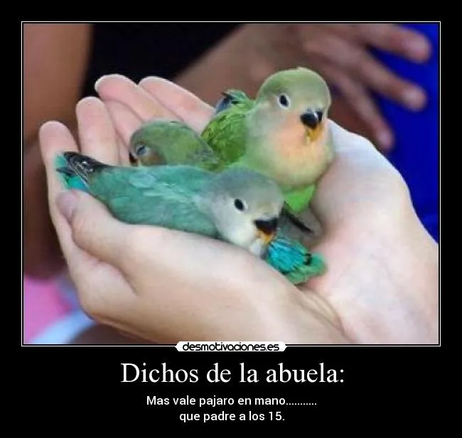 Carteles de Dichos Pag. 13 | Desmotivaciones Carteles de Dichos Pag. 13 | Desmotivaciones
