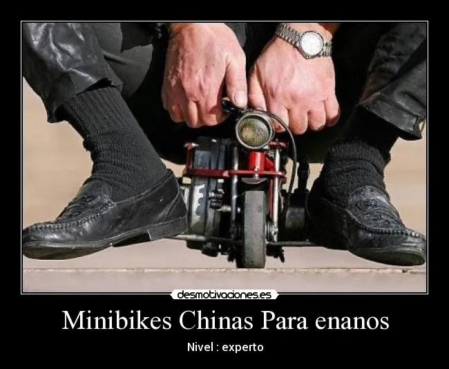 Carteles de Enanos Pag. 5 | Desmotivaciones
