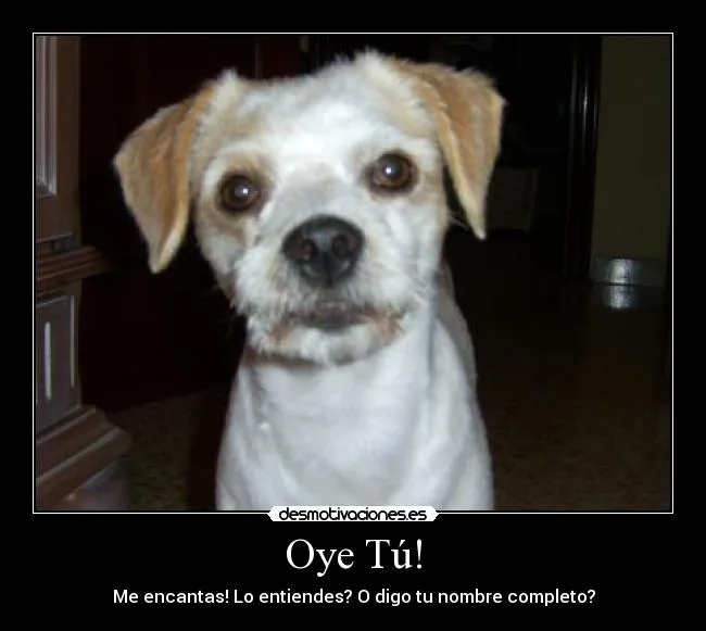 Carteles de Encantas Pag. 7 | Desmotivaciones Carteles de Encantas Pag. 7 | Desmotivaciones