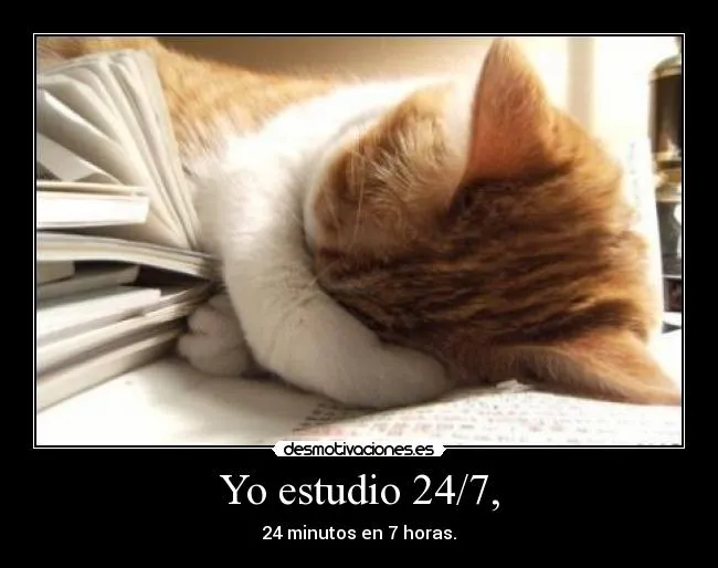 Carteles de Estudio | Desmotivaciones