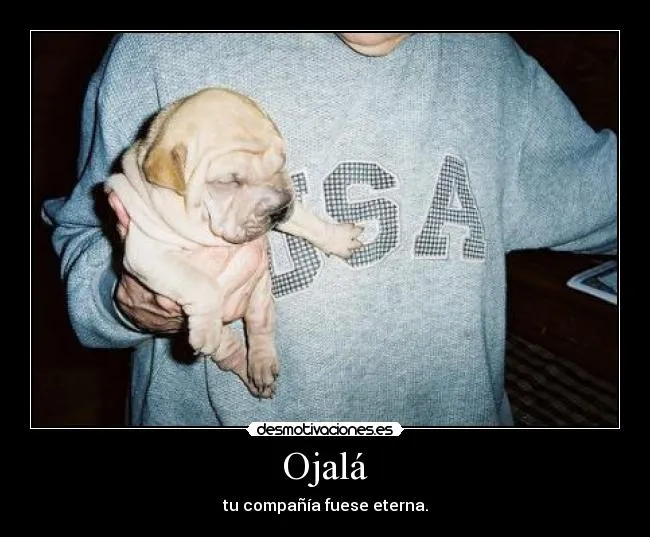 Carteles de Cachorro | Desmotivaciones