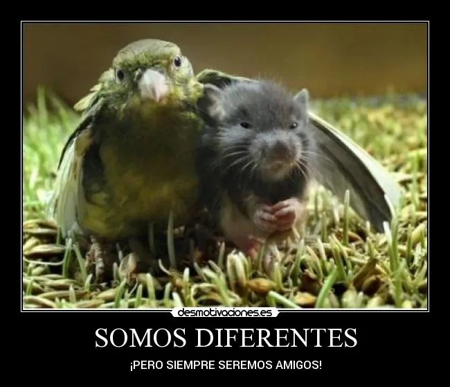 Carteles de Extranar Pag. 13 | Desmotivaciones