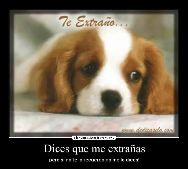 Dices que me extrañas | Desmotivaciones