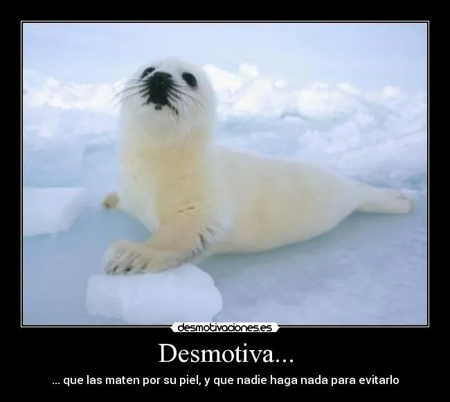 Carteles de Foca Pag. 6 | Desmotivaciones Carteles de Foca Pag. 6 | Desmotivaciones