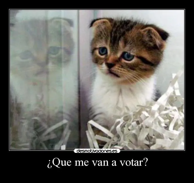Carteles de Gatito Pag. 183 | Desmotivaciones Carteles de Gatito Pag. 183 | Desmotivaciones