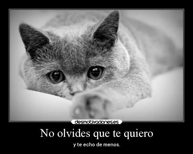 Usuario: Lauqer | Desmotivaciones