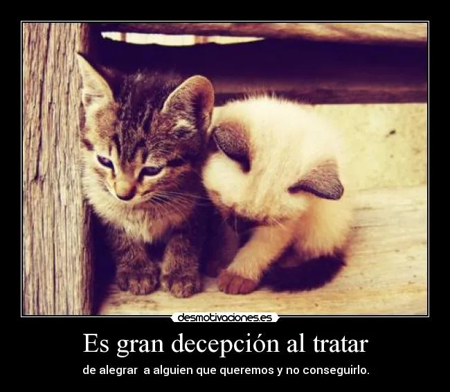 Es gran decepción al tratar | Desmotivaciones Es gran decepción al tratar | Desmotivaciones