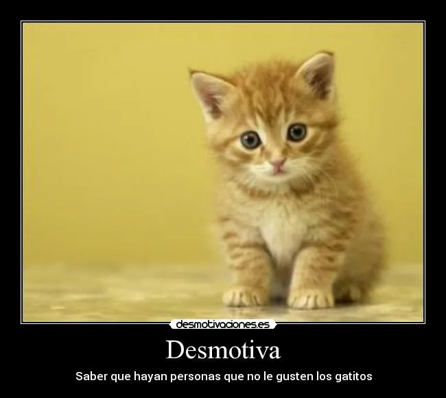 Carteles de Gatitos Pag. 76 | Desmotivaciones Carteles de Gatitos Pag. 76 | Desmotivaciones