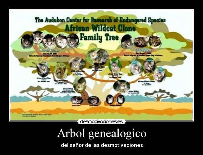 Carteles de Genealogico Pag. 2 | Desmotivaciones Carteles de Genealogico Pag. 2 | Desmotivaciones
