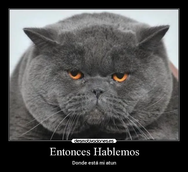 Carteles de Gloton Pag. 2 | Desmotivaciones