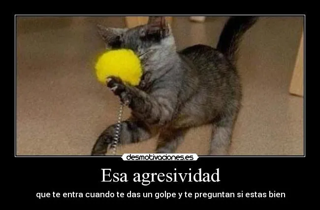 Carteles de Golpes Pag. 37 | Desmotivaciones Carteles de Golpes Pag. 37 | Desmotivaciones