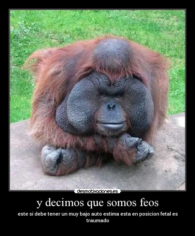 Carteles de Gorila Pag. 13 | Desmotivaciones Carteles de Gorila Pag. 13 | Desmotivaciones
