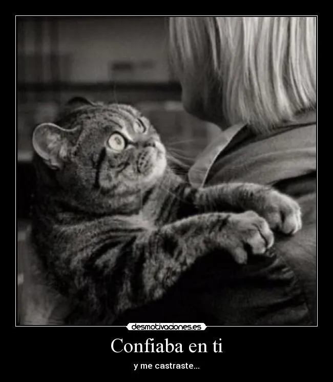 Carteles de Graciosas | Desmotivaciones