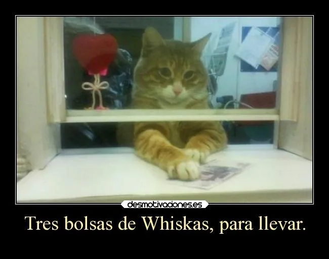 Carteles de Graciosas Pag. 15 | Desmotivaciones Carteles de Graciosas Pag. 15 | Desmotivaciones