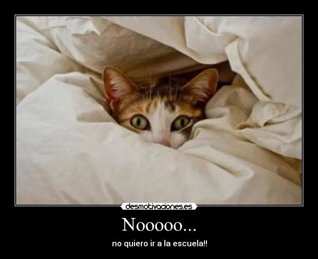Carteles de Graciosos Pag. 5 | Desmotivaciones Carteles de Graciosos Pag. 5 | Desmotivaciones