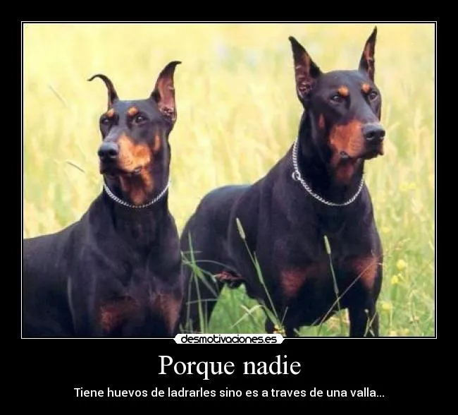 Carteles de Graciosos Pag. 8 | Desmotivaciones
