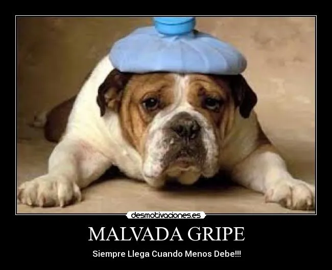 Carteles de Gripe Pag. 2 | Desmotivaciones