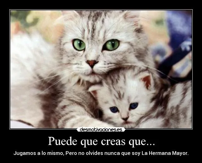 Carteles de Hermana Pag. 92 | Desmotivaciones Carteles de Hermana Pag. 92 | Desmotivaciones