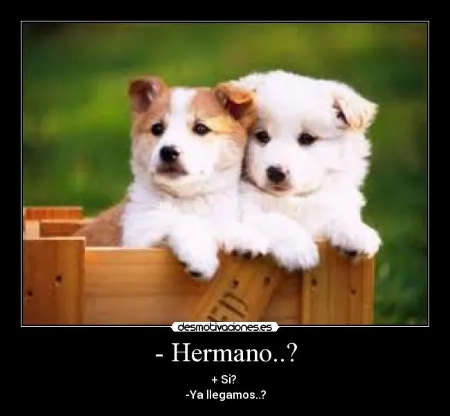 Carteles de Hermosos Pag. 8 | Desmotivaciones Carteles de Hermosos Pag. 8 | Desmotivaciones